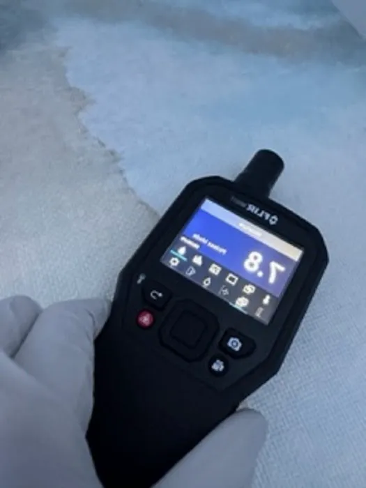 Mold Removal & Remediation Picture 2