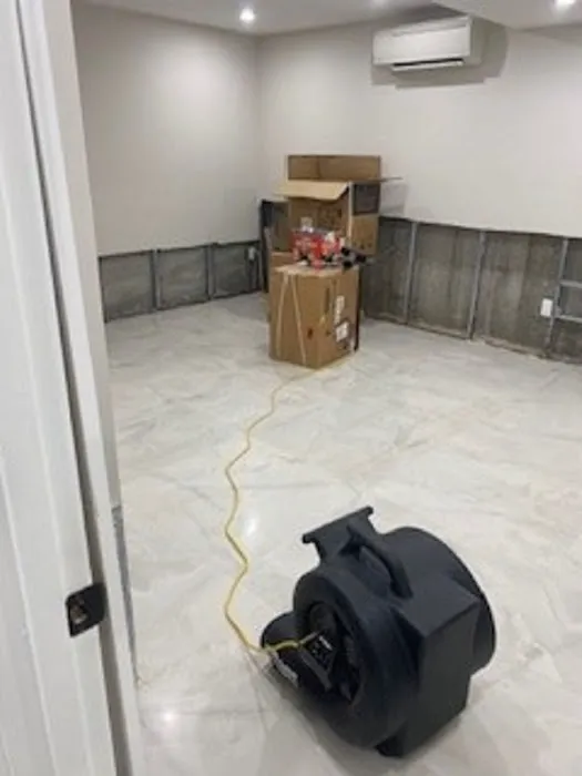 Mold Removal & Remediation Picture 9