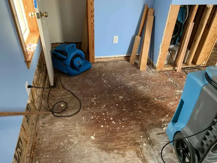 Sparrow Cleanup Picture 4