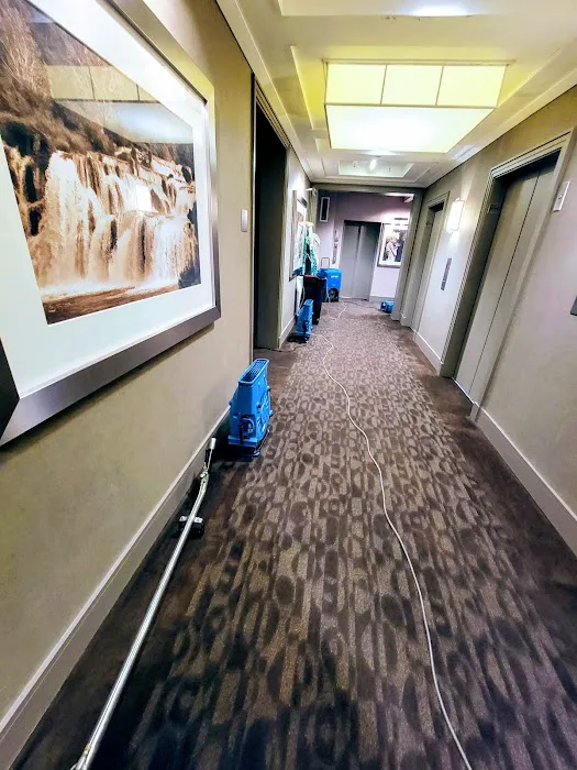 Dry On Time Cleaning and Restoration Picture 4