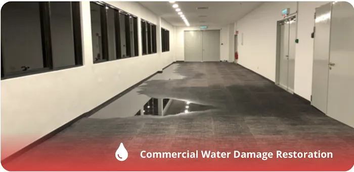 Dry On Time Cleaning and Restoration Picture 7