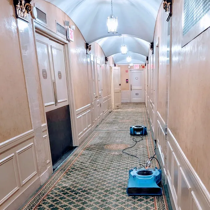 Dry On Time Cleaning and Restoration Picture 8