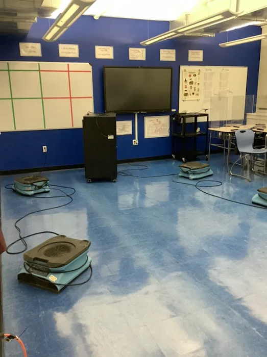 Manhattan Flood Restoration Picture 4