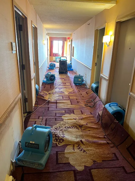 iFlooded Restoration Picture 5