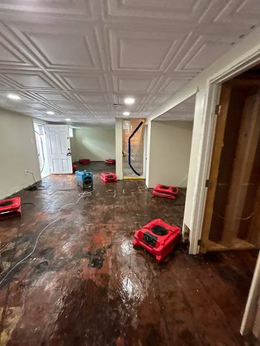 Advanced Disaster Recovery Inc. Picture 10