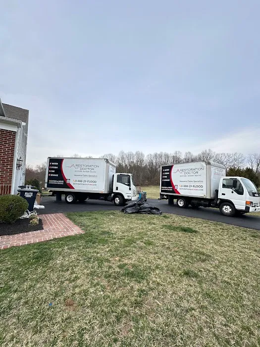 Doctor of NYC Picture 6