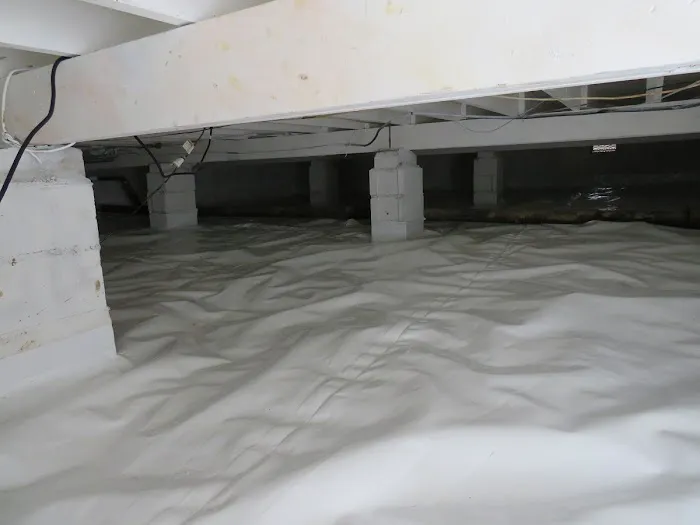 AJR Mold Solutions Picture 5