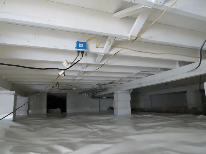 AJR Mold Solutions Picture 6