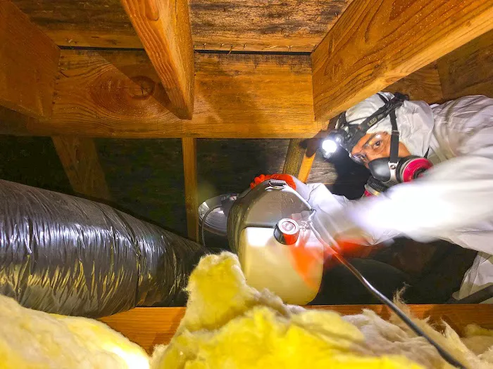 Mold Solutions by Cowleys Picture 8