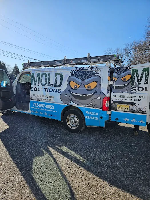 Mold Solutions by Cowleys Picture 9