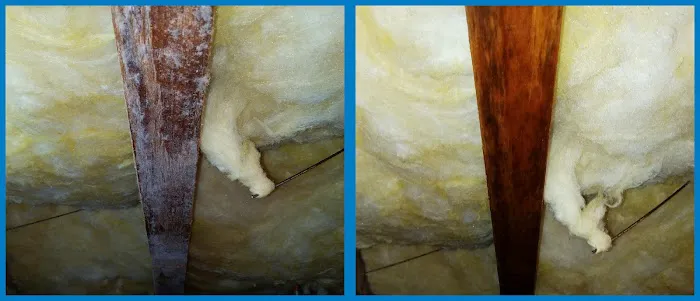 Mold Solutions by Cowleys Picture 2