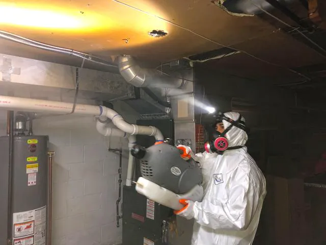 Mold Solutions by Cowleys Picture 7