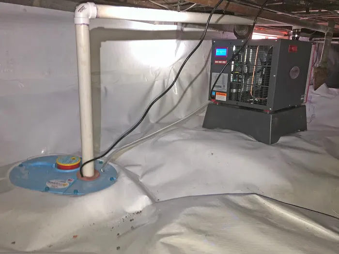 Mold Solutions by Cowleys Picture 5