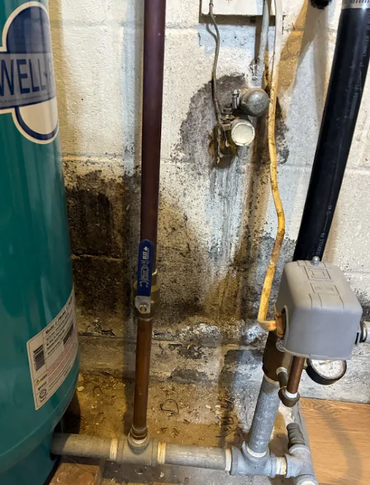 Mold Solutions by Cowleys Picture 4