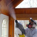 Mold Solutions by Cowleys