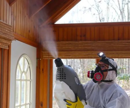 Mold Solutions by Cowleys