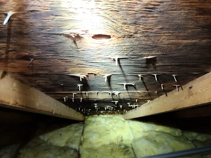 MasterTech Environmental Jersey Shore Picture 10