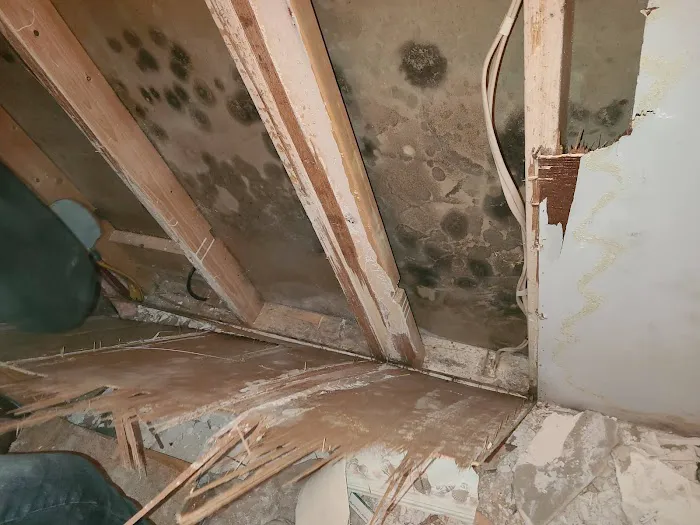 MasterTech Environmental Jersey Shore Picture 8