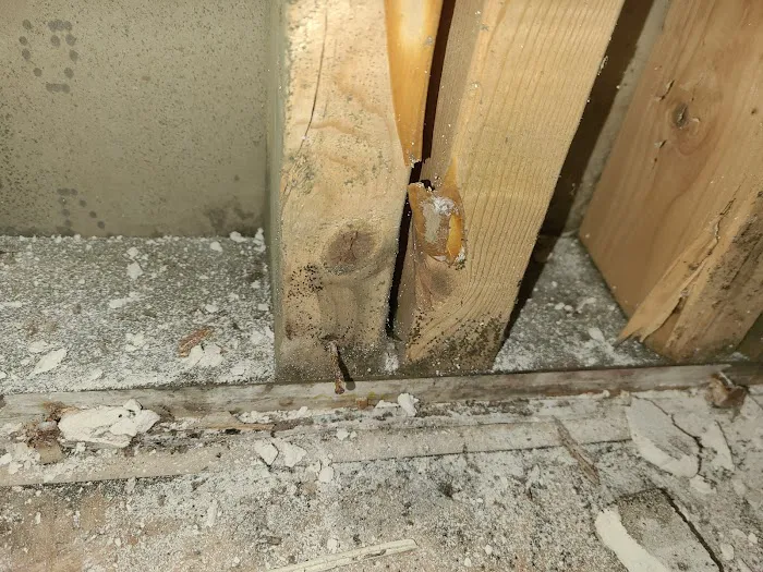 MasterTech Environmental Jersey Shore Picture 7