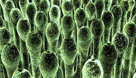 Aerotek Environmental Picture 1