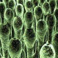 Aerotek Environmental ico