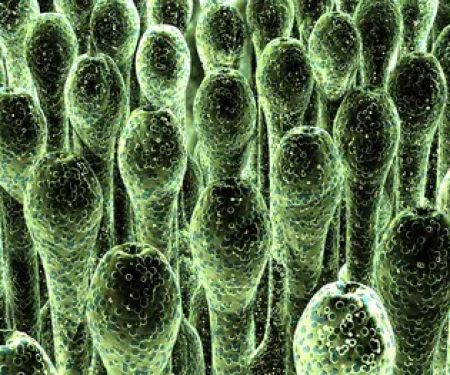 Aerotek Environmental