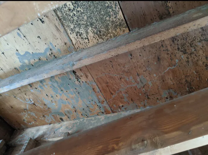 Insurcomm Group Picture 5