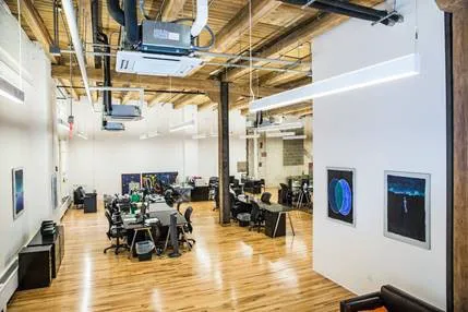 Squeaky Clean & Green Picture 4