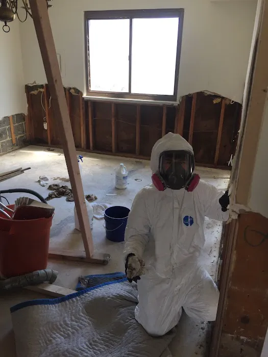 Mold Remediation and Waterproofing LLC Picture 1