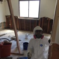 Mold Remediation and Waterproofing LLC ico