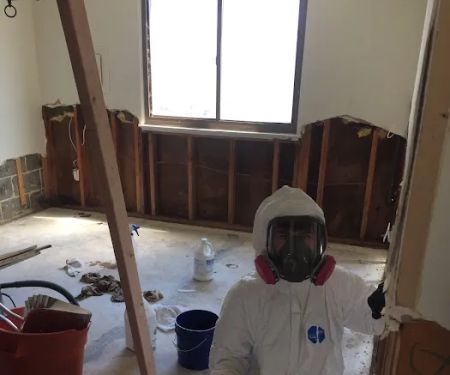 Mold Remediation and Waterproofing LLC