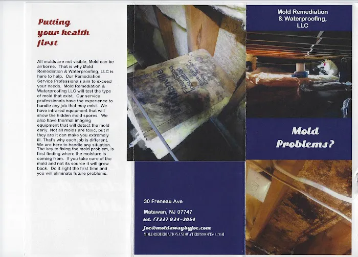 Mold Remediation and Waterproofing LLC Picture 3