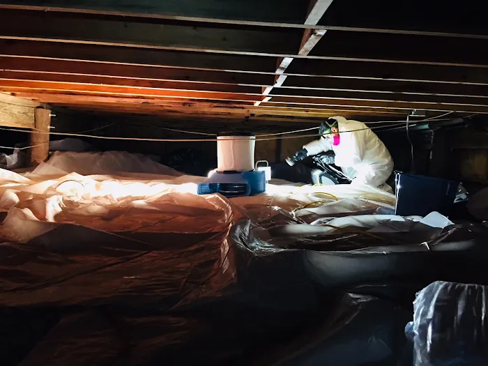 Mold Remediation and Waterproofing LLC Picture 7