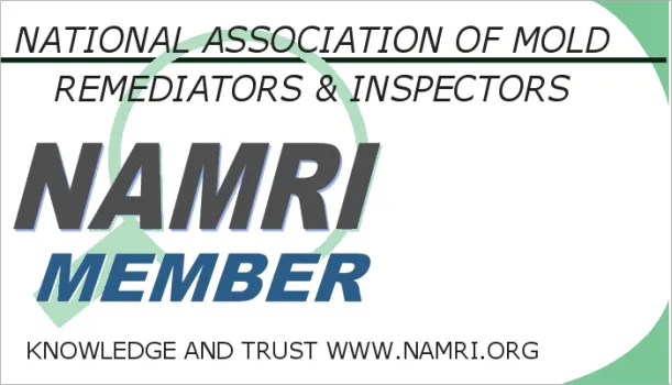 Mold Remediation and Waterproofing LLC Picture 4