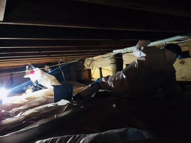 Mold Remediation and Waterproofing LLC Picture 9