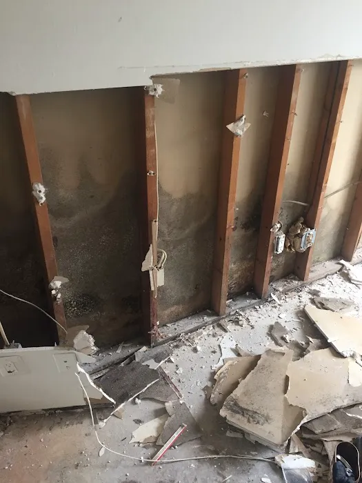 Mold Remediation and Waterproofing LLC Picture 10