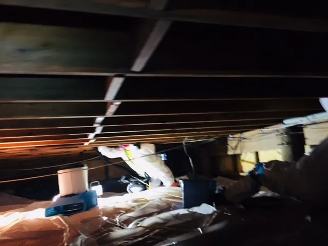 Mold Remediation and Waterproofing LLC Picture 5