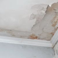 Paragon Water Damage ico