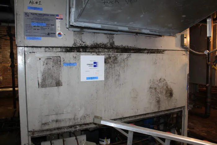 Peacock Mold Services LLC Picture 3