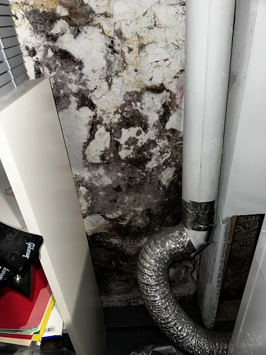 Peacock Mold Services LLC Picture 4