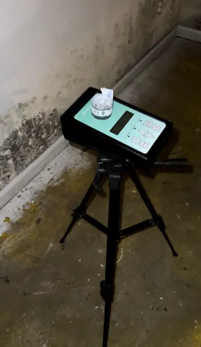 Peacock Mold Services LLC Picture 2