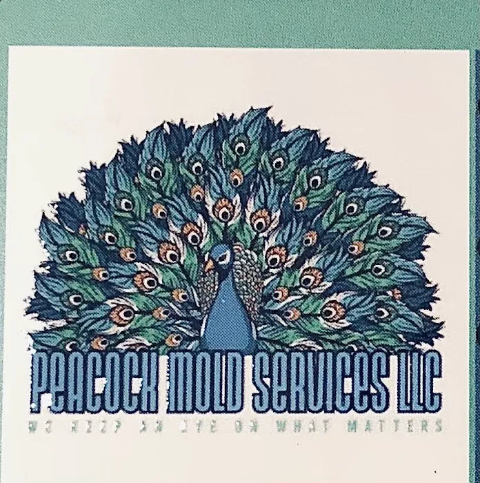 Peacock Mold Services LLC Picture 8