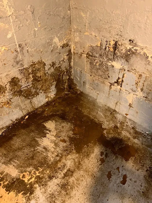 Remediation Pros Picture 3