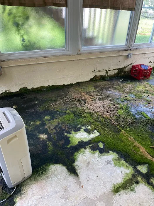 Remediation Pros Picture 7