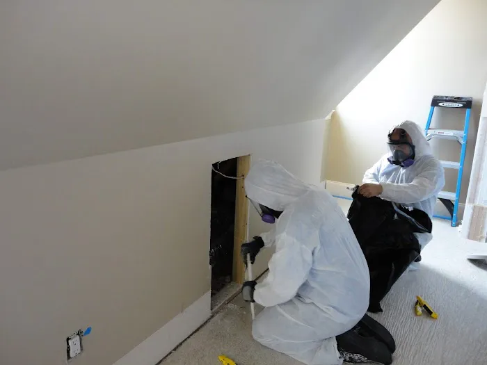 Remediation Pros Picture 9