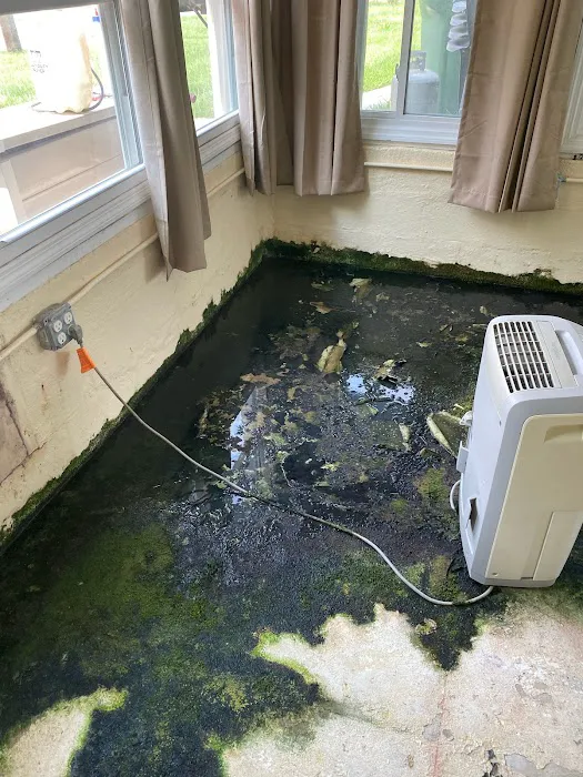 Remediation Pros Picture 6