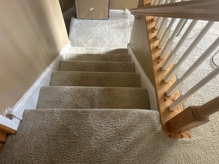 Stanley Steemer Picture 8