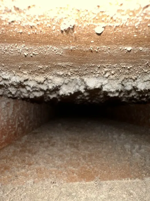 Stanley Steemer Picture 9