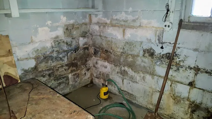 Moisture Science Environmental Picture 10