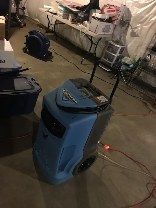 Martin Restorations Picture 4